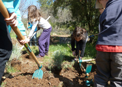 Initiation à la permaculture