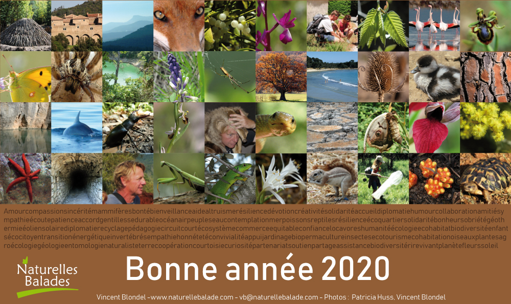 Bonne Année 2020